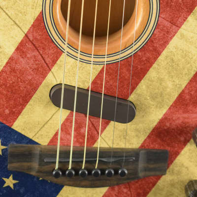 Fender Limited Edition American Acoustasonic Telecaster USA Flag image 4