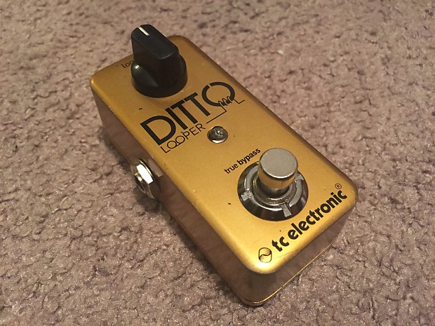 tc electronic / DITTO LOOPER 限定ゴールド TC ELECTRONIC Ditto