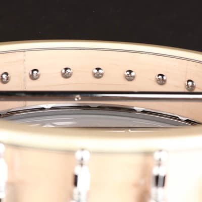 Richwood Master Series RMB-1405-LN long neck open back 5-string banjo image 6