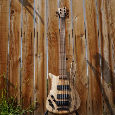 Warwick Custom Shop Streamer Stage 1 Neck Through LTD 2021 Left-Handed 5-String Bass - 25/25 Made NOS image 5