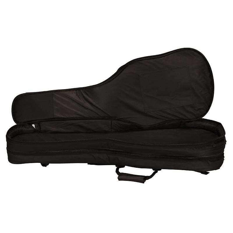 World tour pro double deals electric guitar gig bag