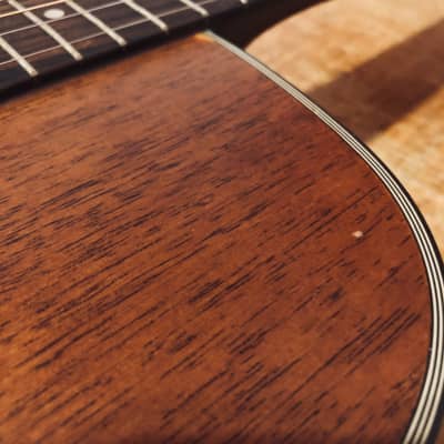 Charvel 550M Mahogany Acoustic Guitar with Gigbag image 22