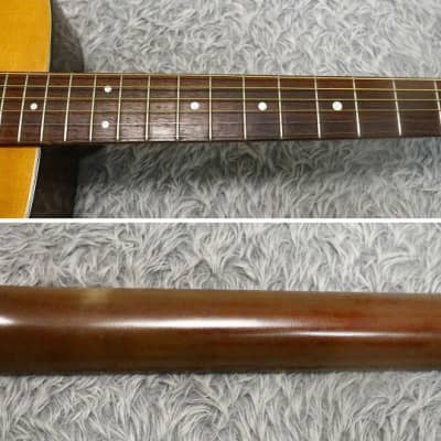 TOKAI Cat'sEyes D-18モデル TCM-40