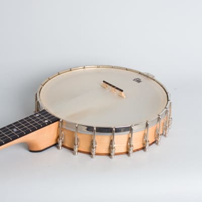 Bart Reiter  Special 5 String Banjo (2017), ser. #4430, black tolex hard shell case. image 7