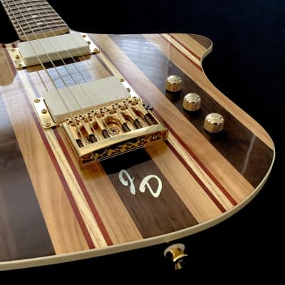JD Guitars 2023 Neptune-6 image 10