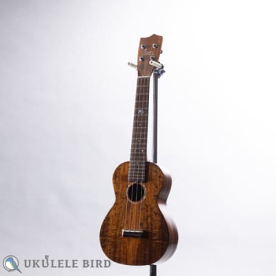Sofla Concert Koa 2017 image 1