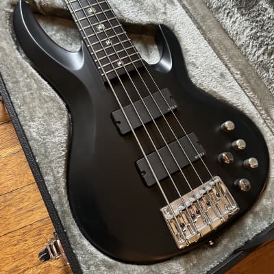 Steinberger XQ25A 