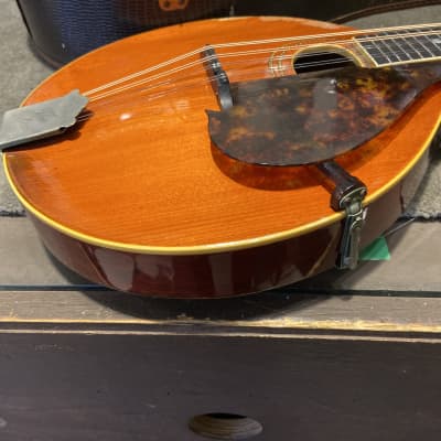 Gibson A-1 mandolin  1916 Pumpkin image 7