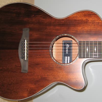 Ibanez AEG24II-TGB semi acoustic western | Reverb