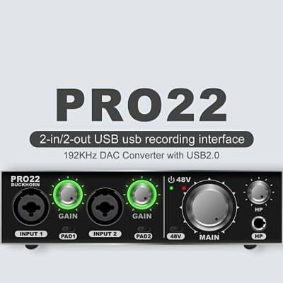 Buckhorn PRO22 2-in/2-out audio interface