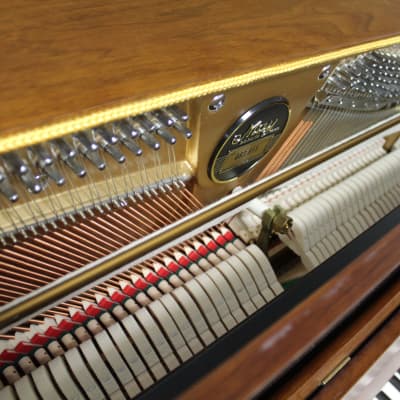Schimmel May Berlin Upright Piano image 6