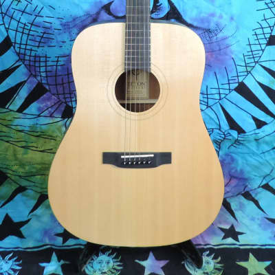 Teton Guitars STS10NT, Solid Sitka Spruce Top, Dreadnought, Natural image 1