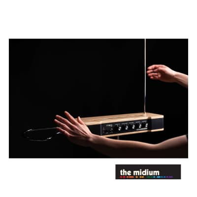 Moog Etherwave Theremin analog theremin and CV controller (Assembled in Asheville, USA) image 2