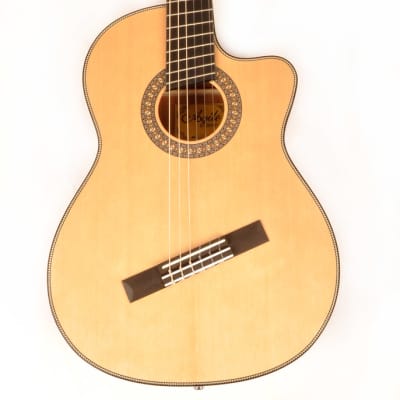 Agile Renaissance Classical 62527 EQ CUT NA 6 String Acoustic Multiscale Guitar for sale