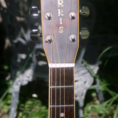 Morris Special by S.Yairi W-80 or W-100 1970s Natural+Hard