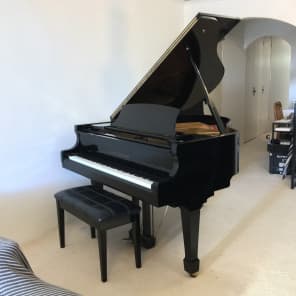 Steinbach grand piano sale