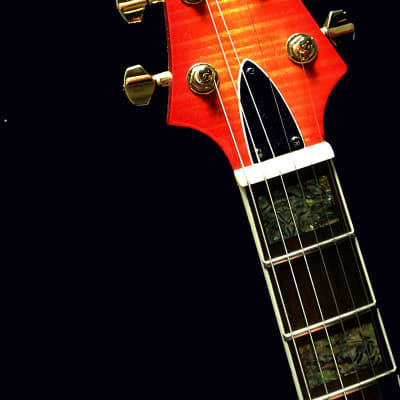 Raines LA6 or LA7 2019 6 or 7 String Electric Jazz Guitar Semi Hollowbody  TRADES! image 2