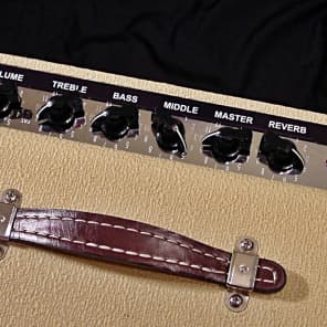 Fender Blues Jr Front Facing Control Panel Overlay-High Contrast image 2