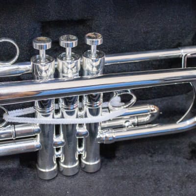 Trompeta Apolo Trumpet «Latino» Plateada image 2