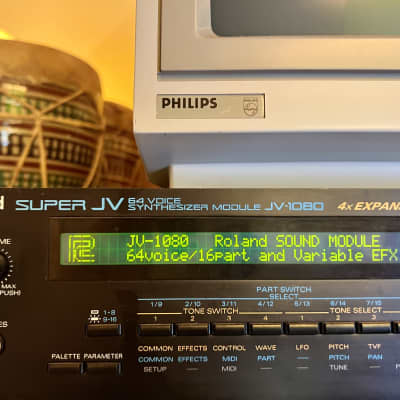 Roland Super JV1080 World Card installed 90's - black