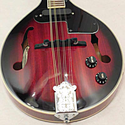 Savannah SA-115-E Madison Acoustic Electric A Style Mandolin image 2