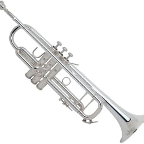 Bach 180S43 Stradivarius Professional Model Bb Trumpet