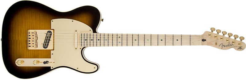 Fender Richie Kotzen Telecaster® Maple Fingerboard Brown Sunburst - JD22090400 image 1