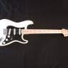 Fender REAR Billy Corgan Signature Series Stratocaster 2009 White