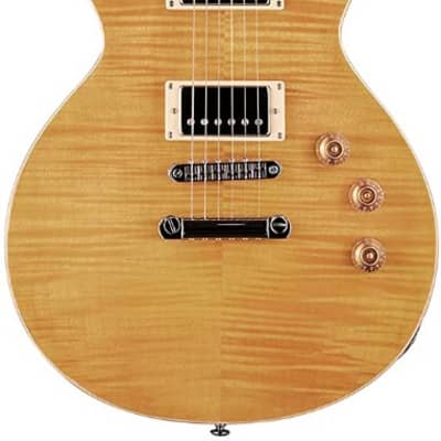 Demo Guitar Busker's BLC 300 Les Paul Custom Alphine White