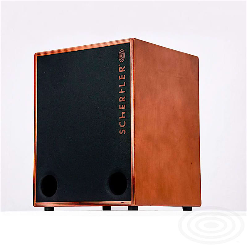 【極美品】UNICO SCHERTLER アコースティックアンプ Schertler | UNICO X