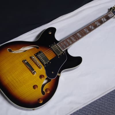 WASHBURN HB35 Semi Hollow-Body electric guitar NEW Sunburst w