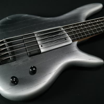 Ibanez Gary Willis Signature 5str Electric Bass w/Bag - Silver Wave Burst Flat - 541 for sale
