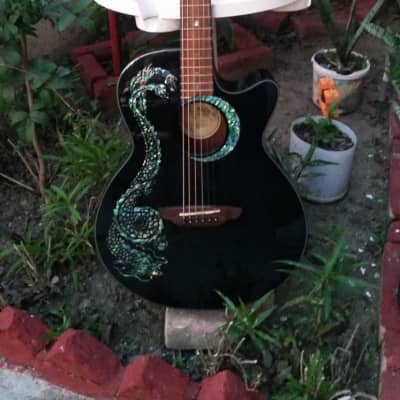 Luna Fauna Dragon Acoustic/Electric black Guitar for sale