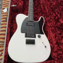 Fender Jim Root Artist Series Signature Telecaster 2008 - Present Flat White