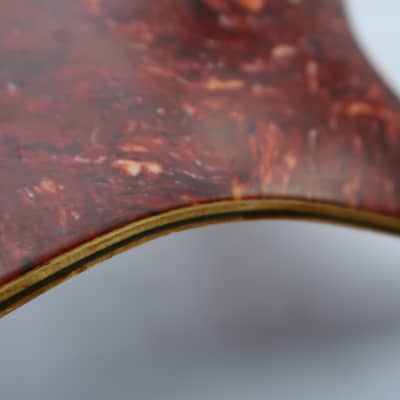 Fender Stratocaster Strat '59 - '62 Tortoise Celluloid   Tortoise RI 60 61 image 11