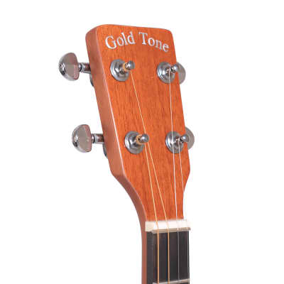 Gold Tone TG-10 Mahogany Neck 4-String Acoustic Tenor Guitar with Hard Case image 9