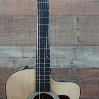 210ce Plus 6-String | Sitka Spruce Top | Layered Rosewood Back and Sides | Tropical Mahogany Neck | West African Crelicam Ebony Fretboard | Expression System® 2 Electronics | Venetian Cutaway | Aerocase image 3