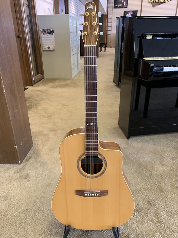 Seagull Artist Series 2001 Natural | Reverb