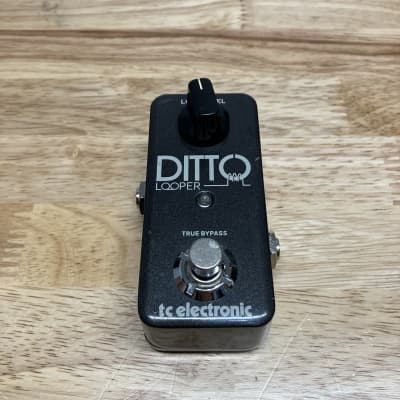 TC Electronic Ditto Looper (Gold Limited Edition) | Reverb