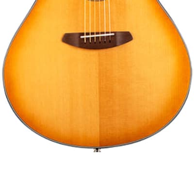 Breedlove Signature Concerto Copper CE Torrefied European-African Mahogany, Acoustic-Electric, Mint image 2