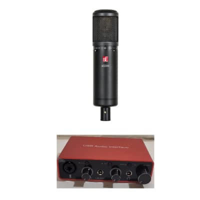 sE Electronics sE2200 Large Diaphragm Cardioid Condenser Microphone