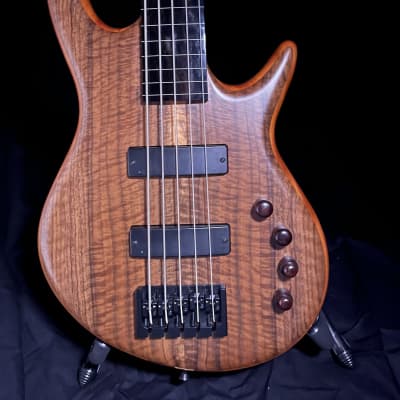 Fretless 5 string bass guitar image 4