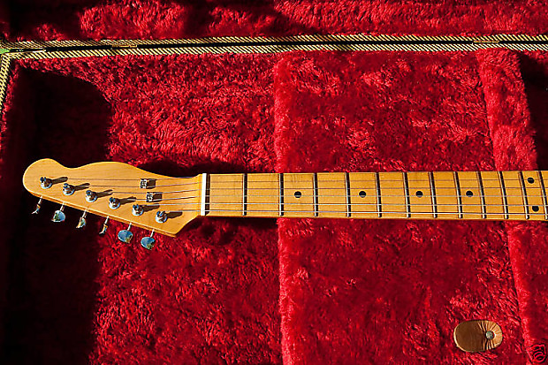 EDWARDS テレギブ　ESP ESP [※お取り寄せ商品] EDWARDS E-TE-ASM 【Vintage Natural