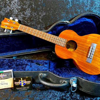 Best Ukuleles Under $100 - Terry Carter Music Store