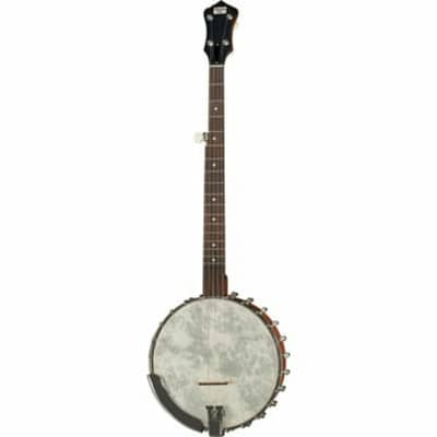 Recording King OT25-BR "Madison" Open Back Banjo, Scooped Fretboard. New with Full Warranty!