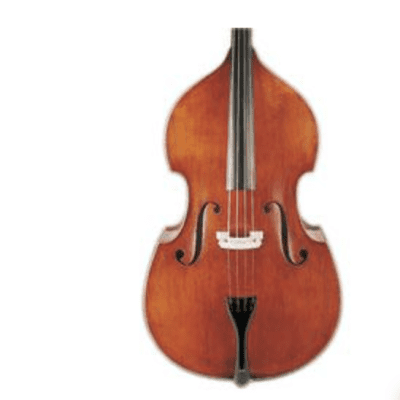 D Z Strad Double Bass - Model 100 (1/2) image 1