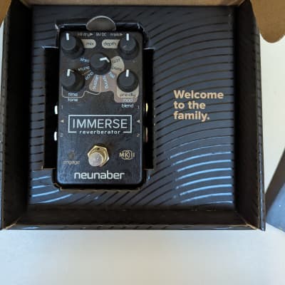 Neunaber Audio Immerse Reverberator V2 2019 | Reverb UK