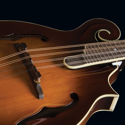 Washburn TCMF43SWK-LTD Timeless Collection Limited Edition F-Style Mandolin w/Hardshell Case image 5