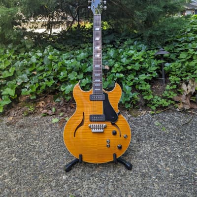 ギター VOX HDC-77 The VOX Showroom - Vox HDC-77 Guitars - 2010 - 2013