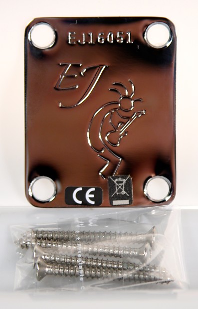 Eric johnson strat neck top